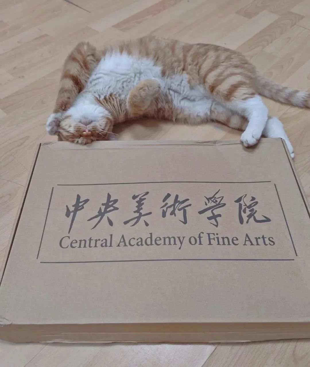 中央美院“学士服”美上热搜！网友：这是什么神仙设计？