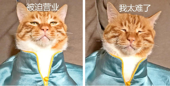 中央美院“学士服”美上热搜！网友：这是什么神仙设计？