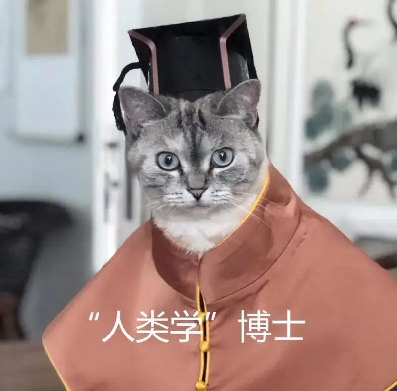 中央美院“学士服”美上热搜！网友：这是什么神仙设计？