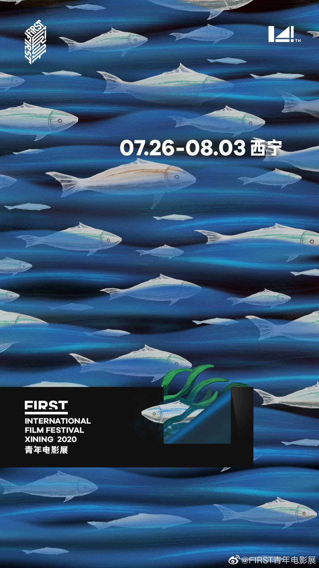 终于能去电影院了！这里还有一波小众电影在等你