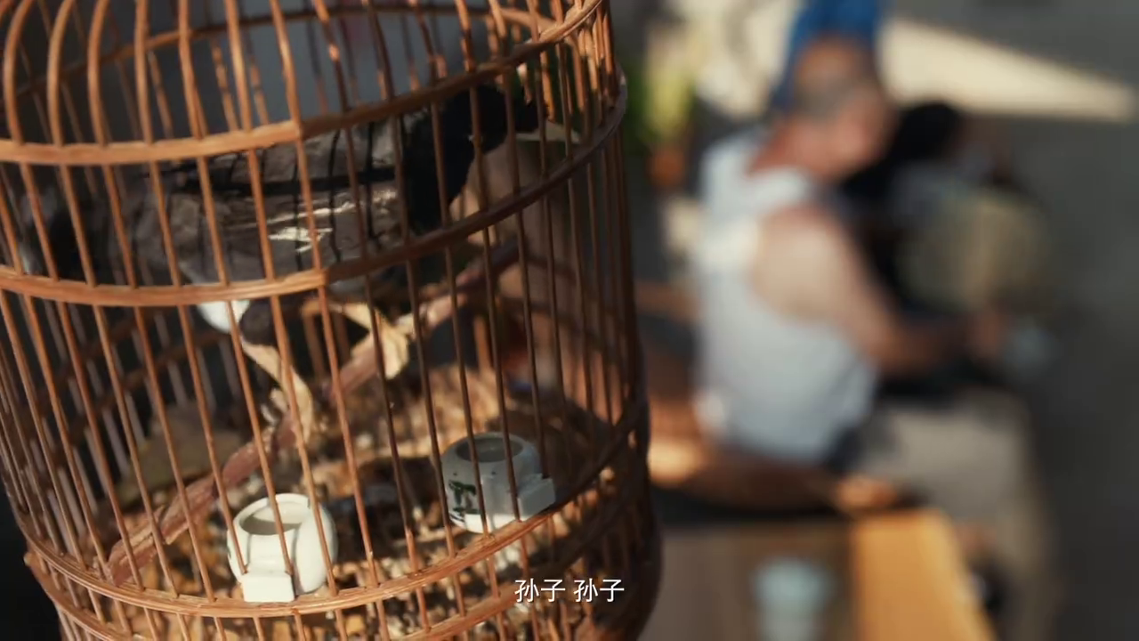 宝洁携手墨迹天气推出生活天气预报，拯救生活热情暴跌的你