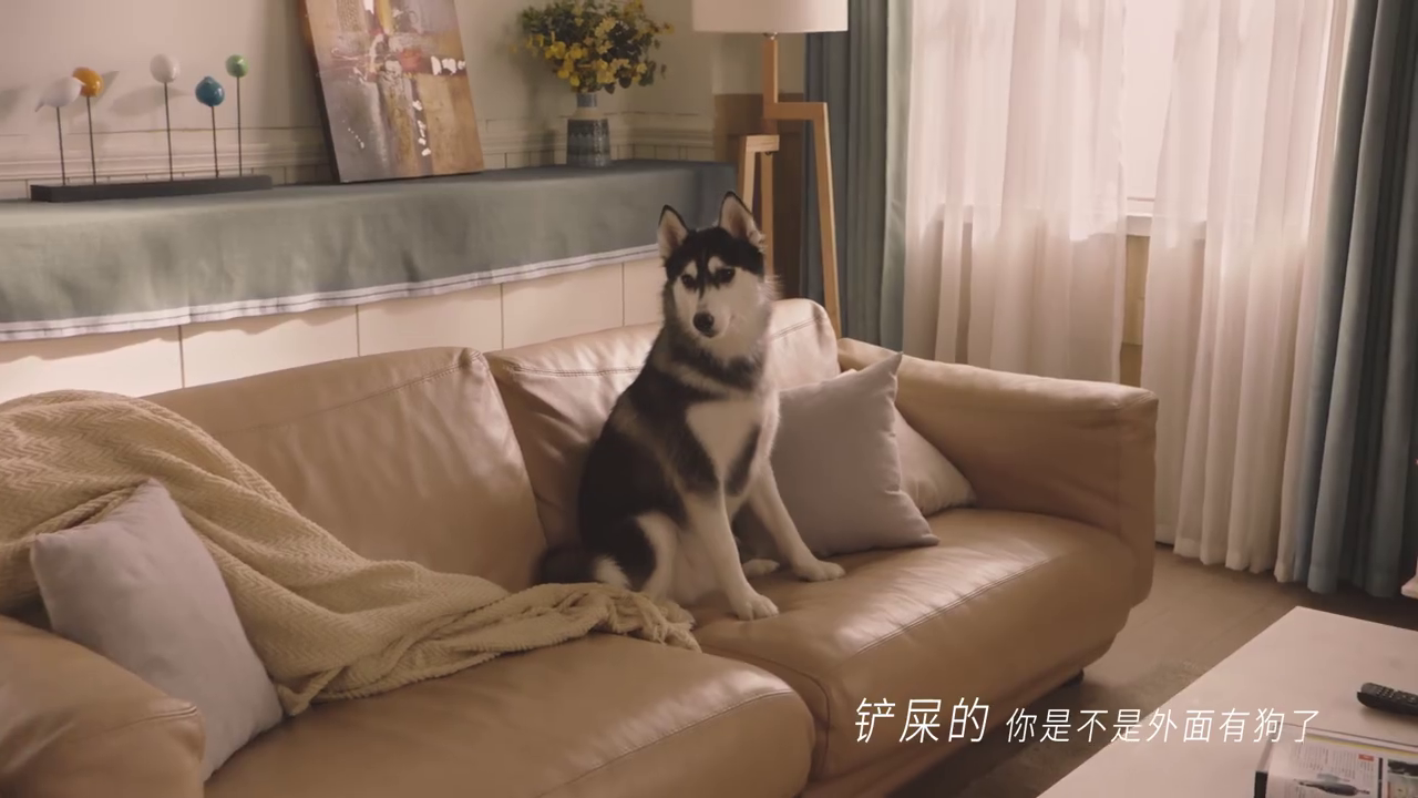 饿了么全面升级：外卖不止送餐，爱什么来什么