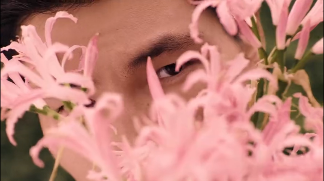 粉色花草丛中躲猫猫，宝格丽七夕广告有点甜