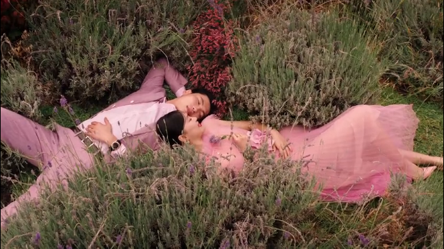 粉色花草丛中躲猫猫，宝格丽七夕广告有点甜