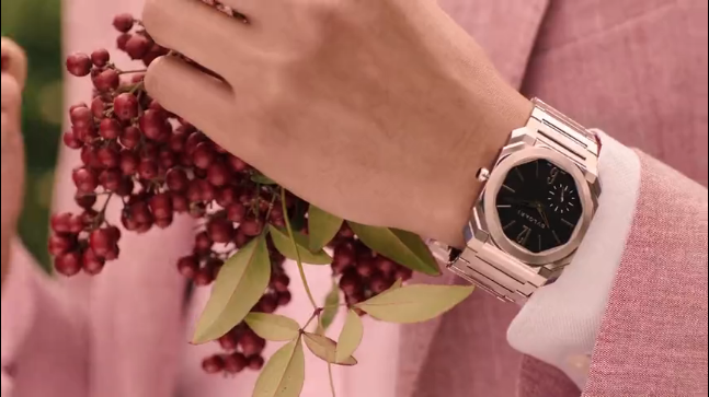 粉色花草丛中躲猫猫，宝格丽七夕广告有点甜