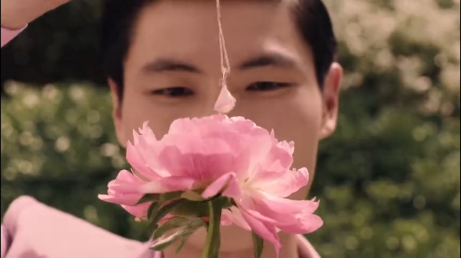 粉色花草丛中躲猫猫，宝格丽七夕广告有点甜