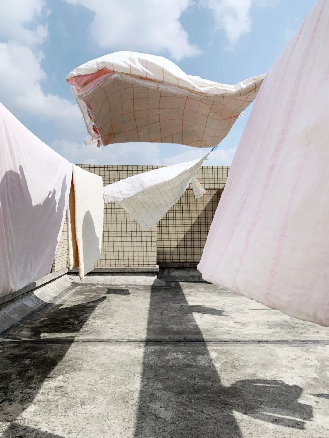 视觉盛宴！2020年iPhone摄影大赛获奖作品揭晓【完整版】