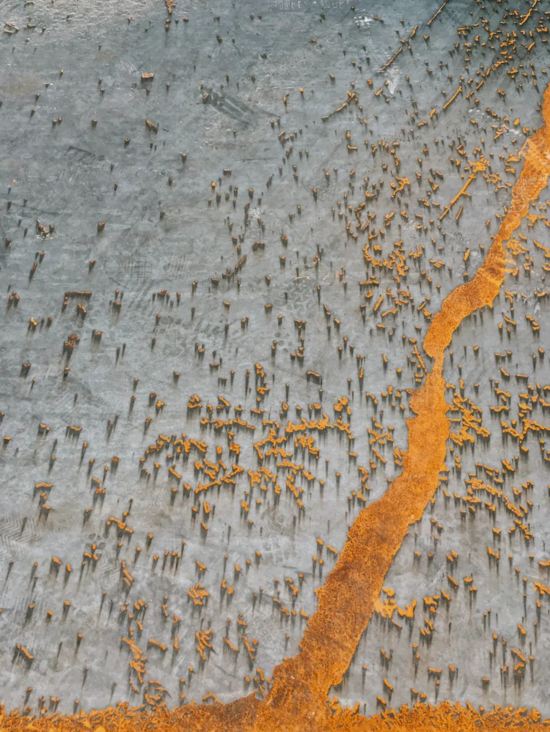 视觉盛宴！2020年iPhone摄影大赛获奖作品揭晓【完整版】