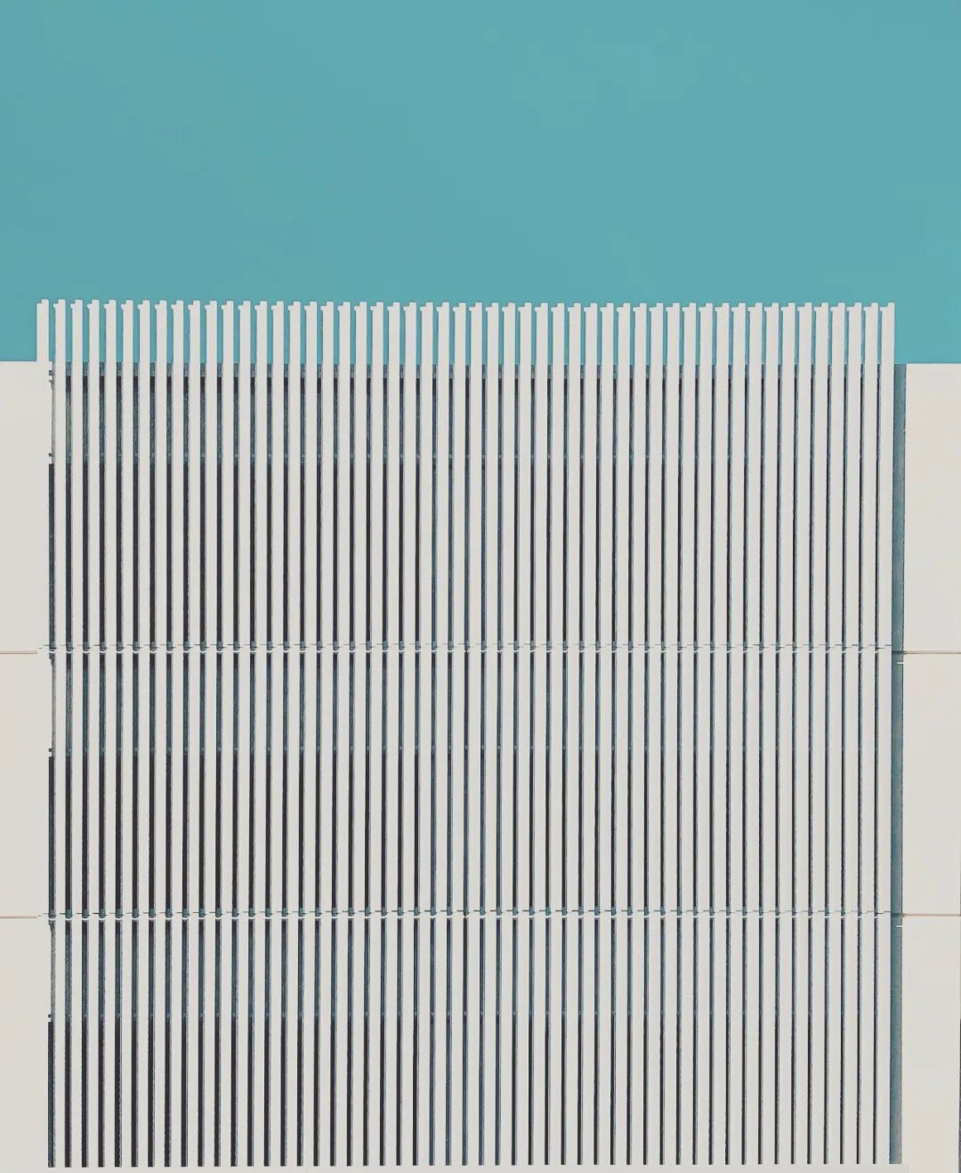 视觉盛宴！2020年iPhone摄影大赛获奖作品揭晓【完整版】