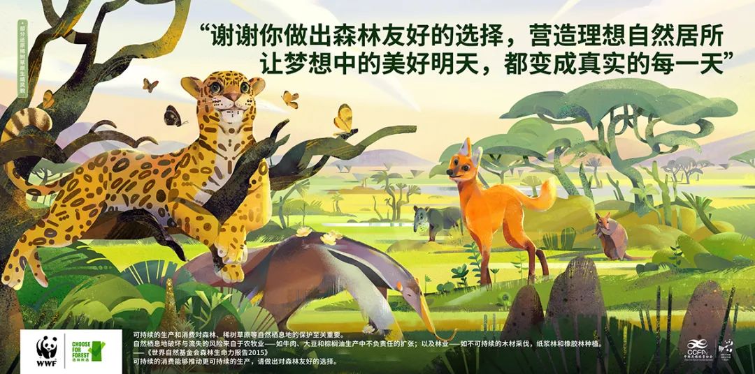 WWF×黄渤：一封来自森林“代言人”的感谢信