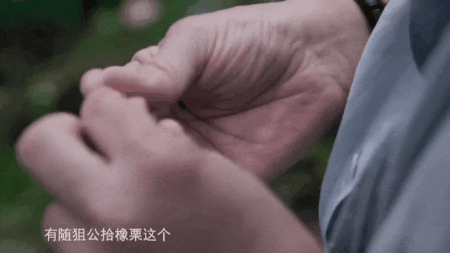 央视花3年拍出杜甫纪录片，9月即将刷屏