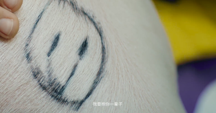 百乐文具沙雕广告片，不分青红皂白哪都能写