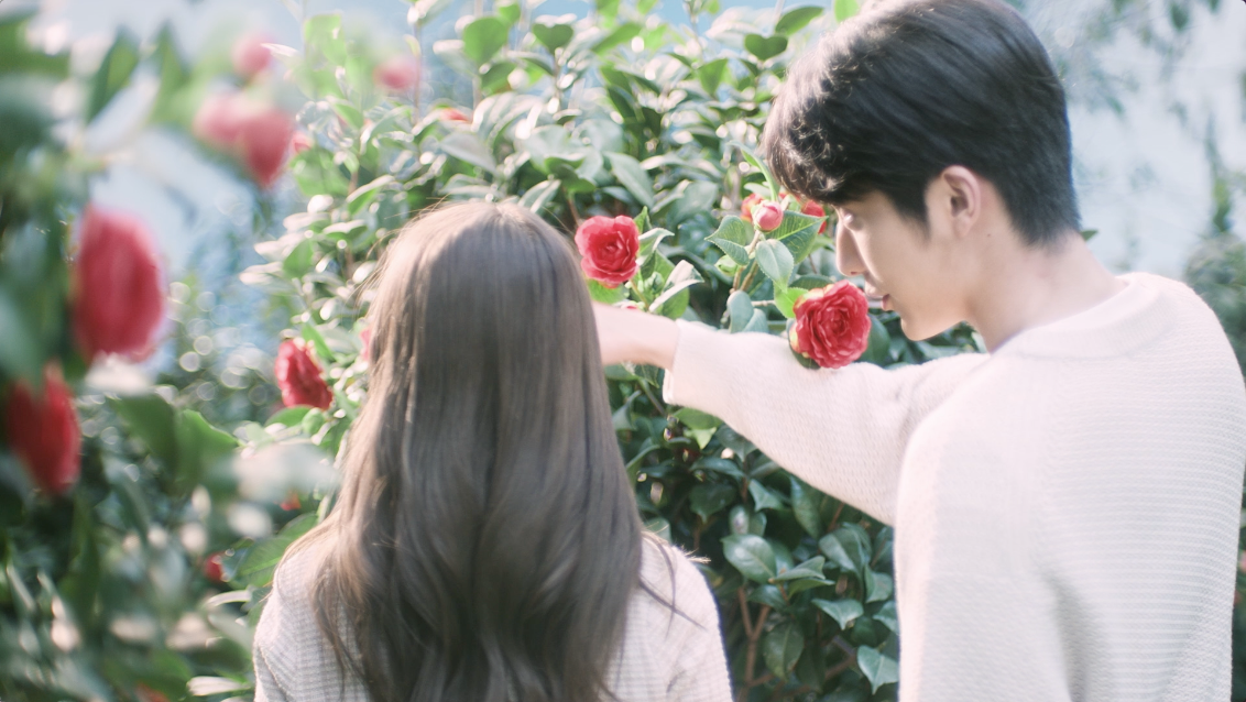 全新丝蕴携手张新成，新品上市破圈演绎“心动蕴律”