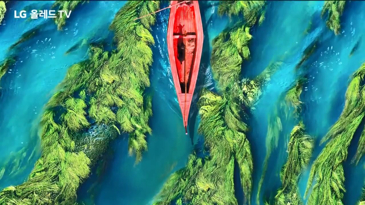 韩国LG电视广告：看见世界的色彩