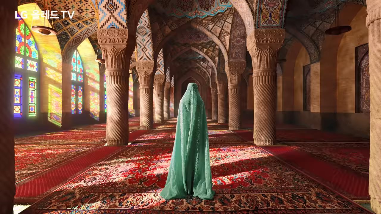 韩国LG电视广告：看见世界的色彩