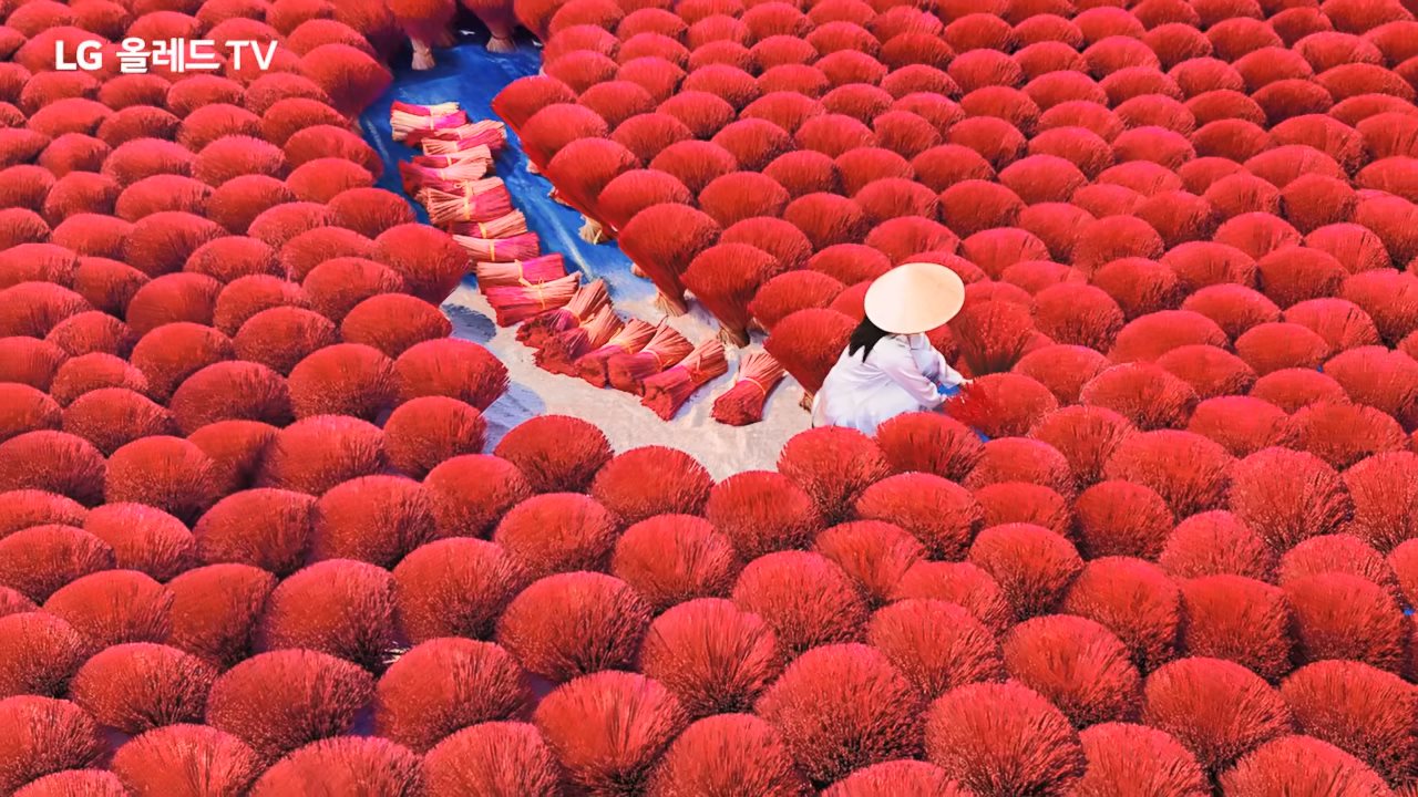 韩国LG电视广告：看见世界的色彩