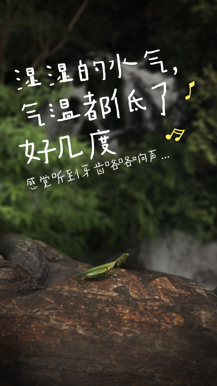 云山上的音乐家，聆听大自然的旋律