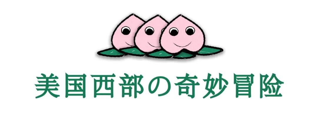 横扫2020年的神片，拍出了美国人民的“水深火热”？