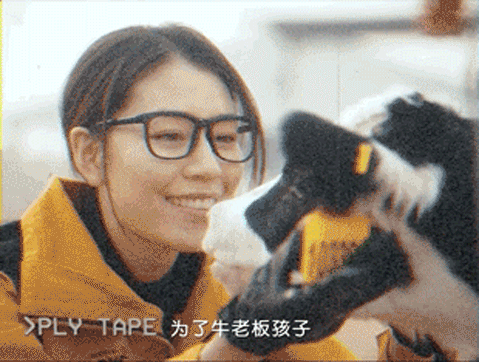 认养一头牛：我们刚刚邀请李云迪给牛老板办了一场年会