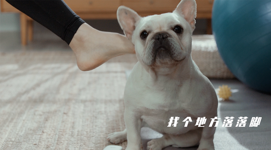 奥克斯313联动天猫，示范御宅健康新境界