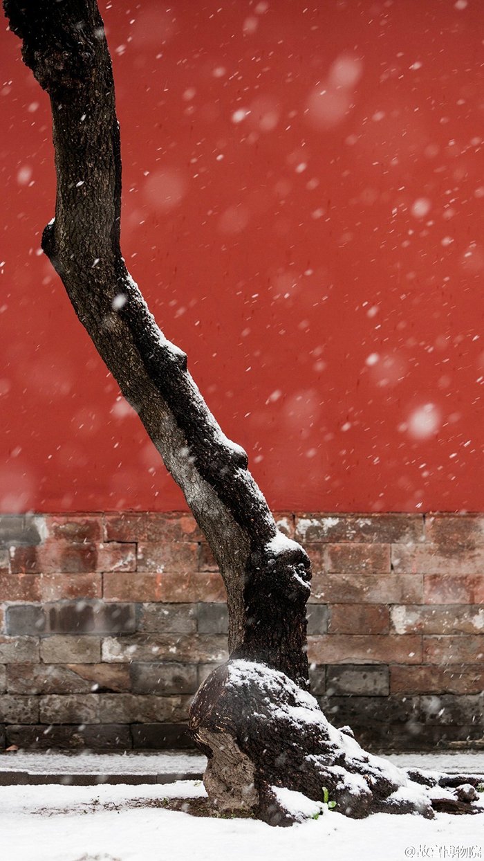 超实用的冬季雪景拍摄技巧