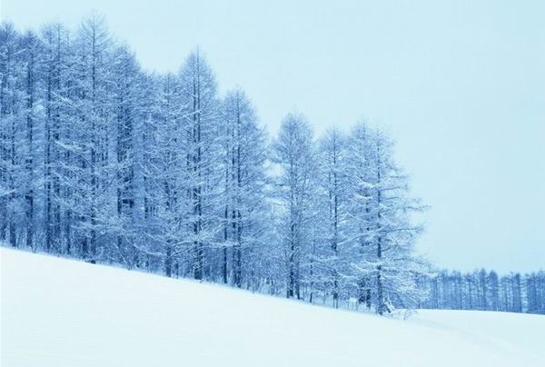 冰雪摄影技巧大盘点