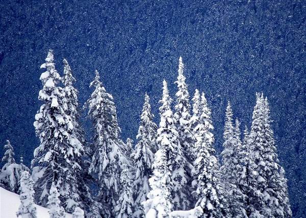 冰雪摄影技巧大盘点