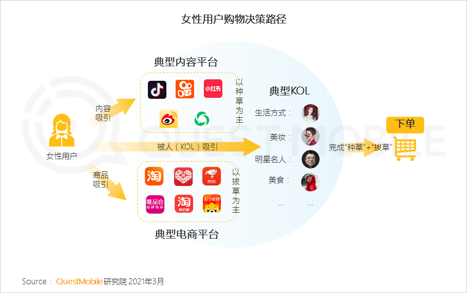 鸟哥笔记,行业动态,QuestMobile,她经济,行业报告