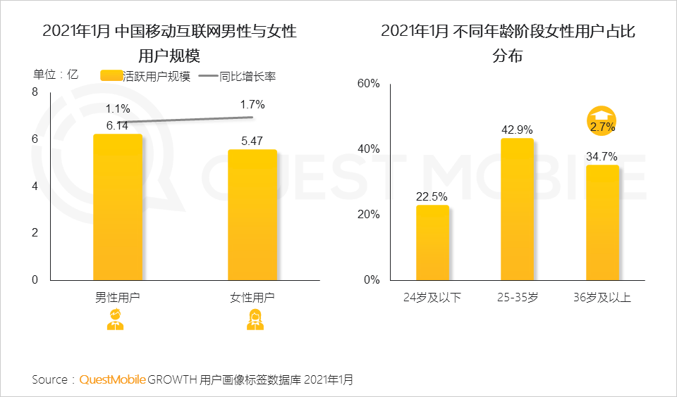 鸟哥笔记,行业动态,QuestMobile,她经济,行业报告