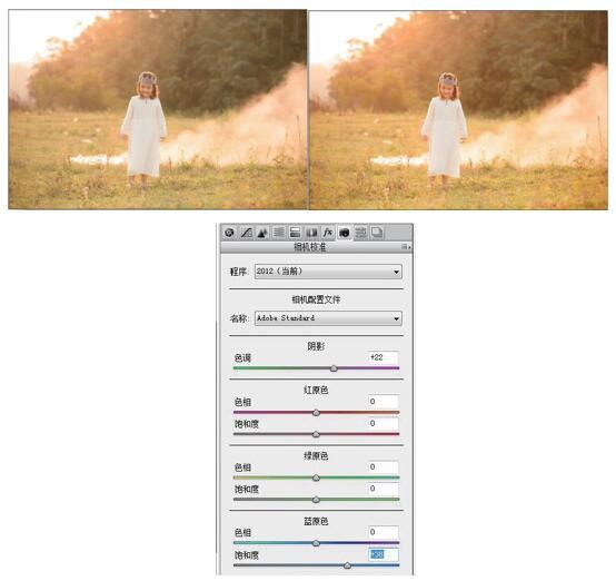 Ps+Lg轻松调出欧美复古色调照片（上）