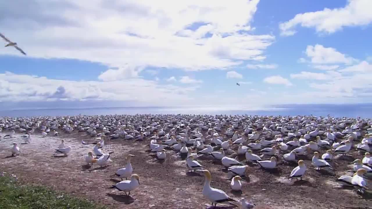 西双版纳企业宣传片广告片 