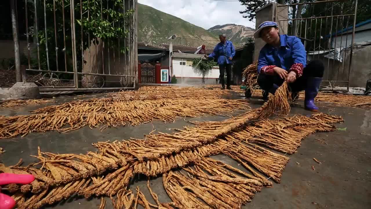 央视人文纪录片《阴平古道》 集  寻访