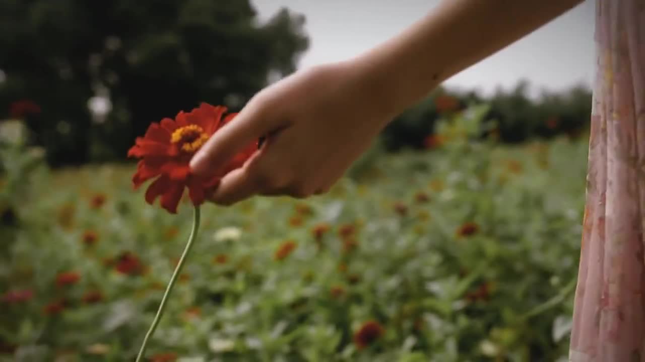 华丽家族太上湖房产广告片