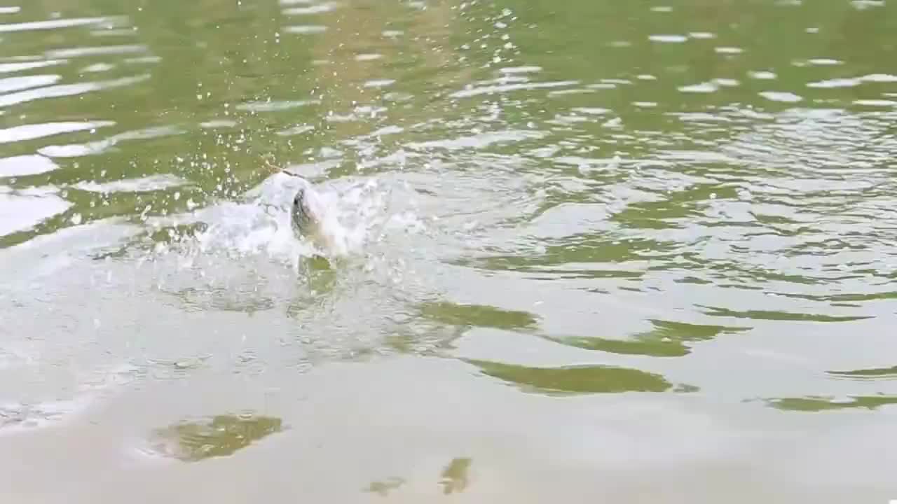 俱乐部比赛宣传片幕后花絮