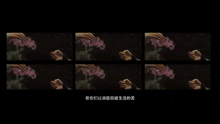 LOEW诗意微电影《爱，就足够》