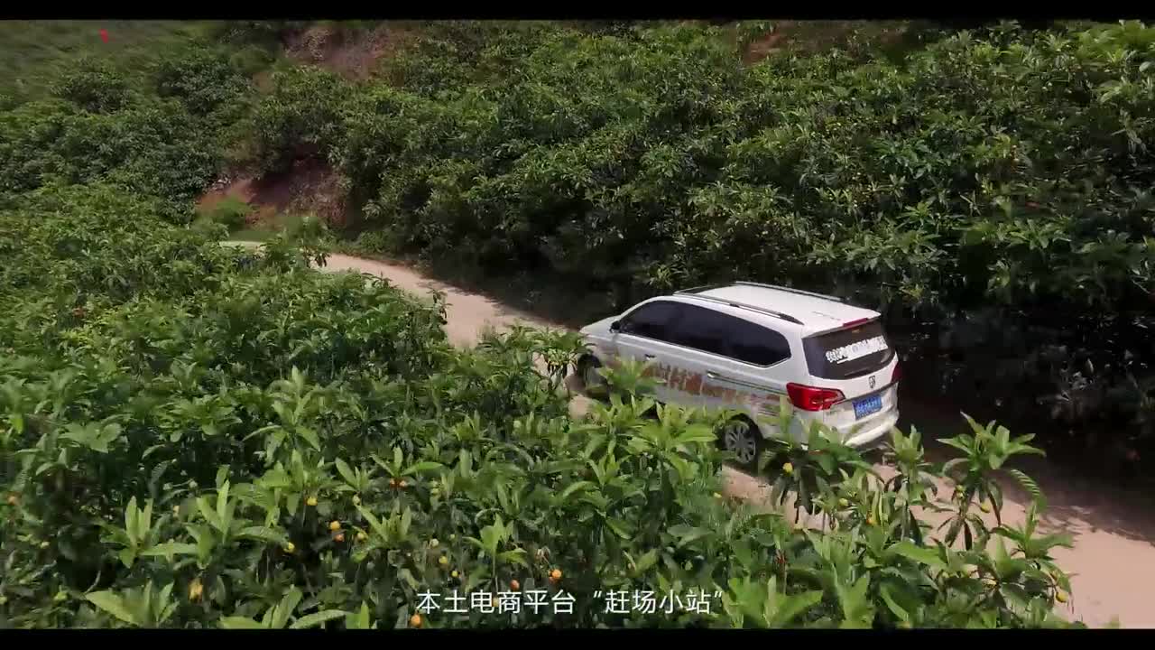 成都迦南映像-京东仁寿第三届网上枇杷节