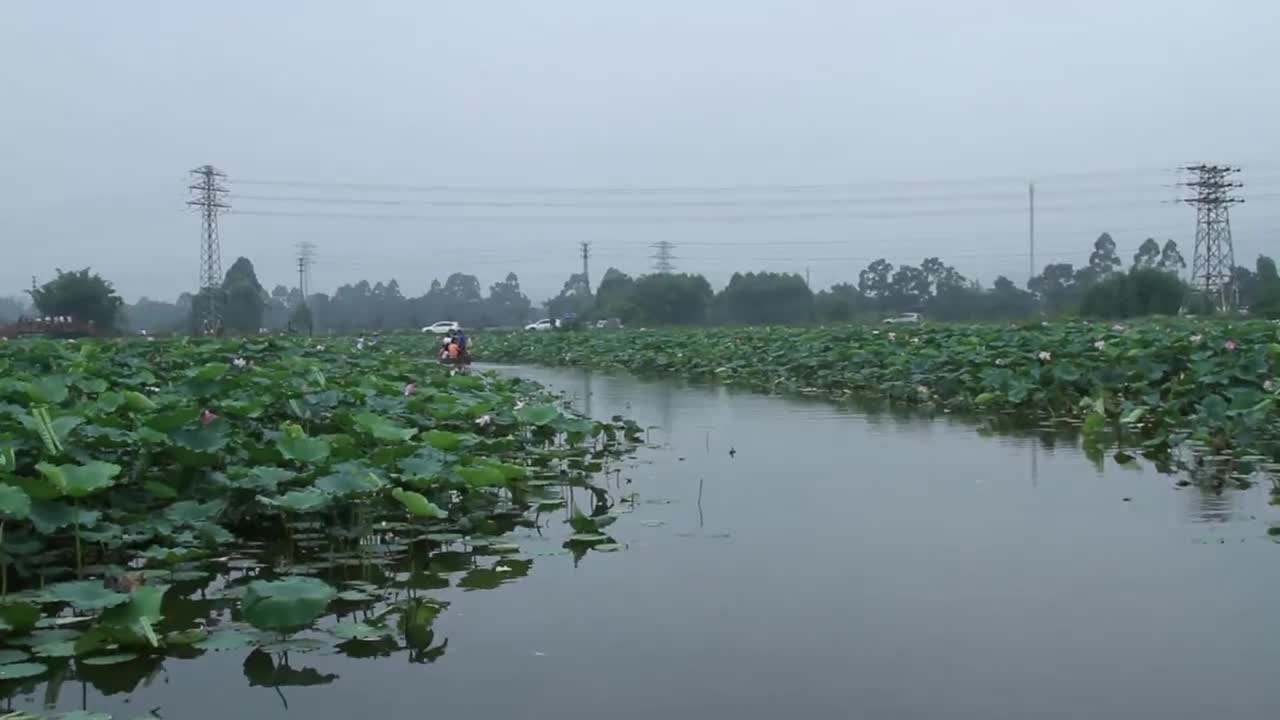 让人心驰神往的古劳水乡