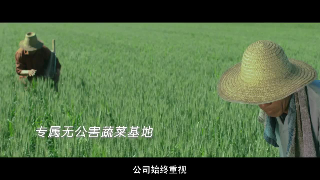 福娘水饺宣传片