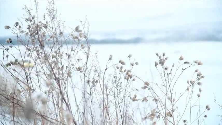 保时捷冰雪试驾会极地体验